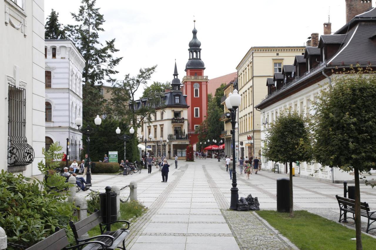 Jodla I Modrzew * Jelenia Góra