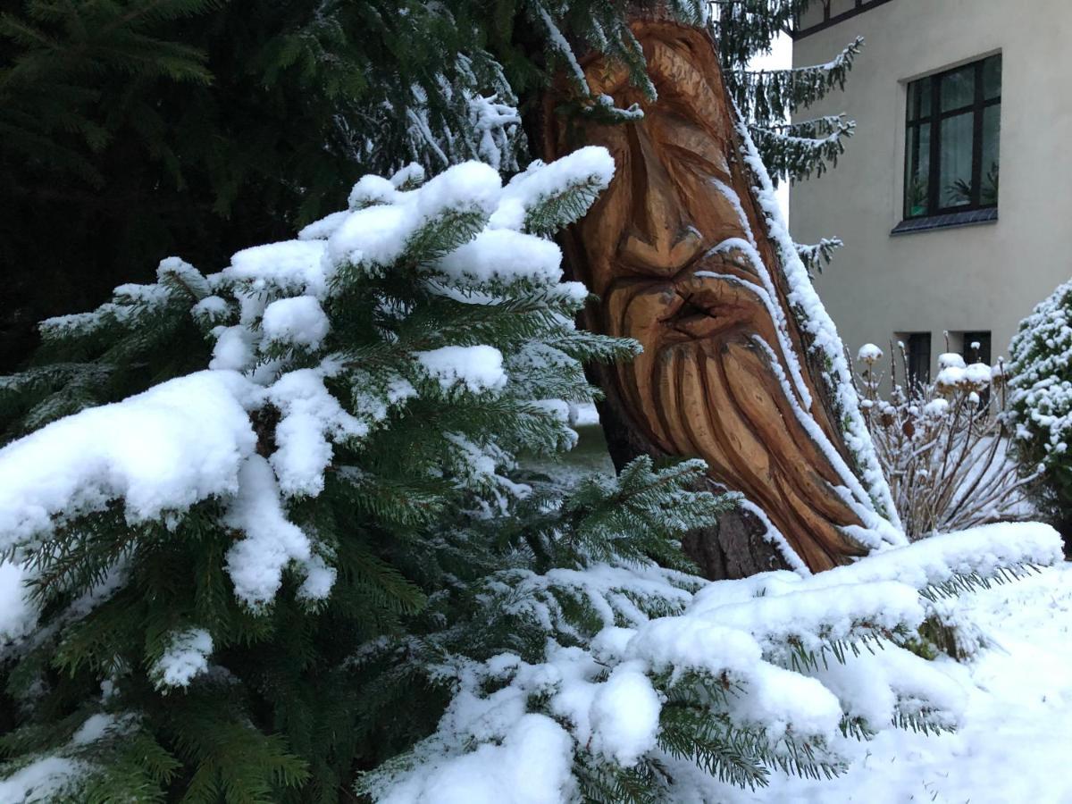 Jodla I Modrzew * Jelenia Góra