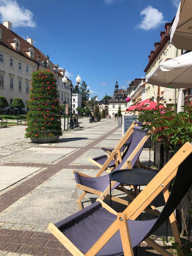 Jodla I Modrzew Jelenia Góra