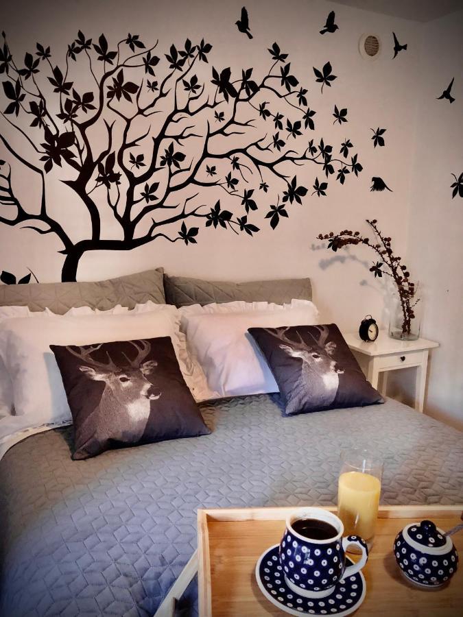 Apartment Jodla I Modrzew *
