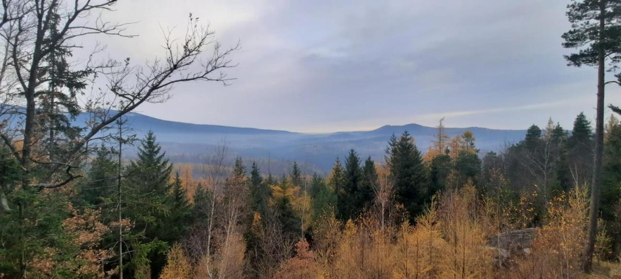 Jodla I Modrzew Apartment Jelenia Góra